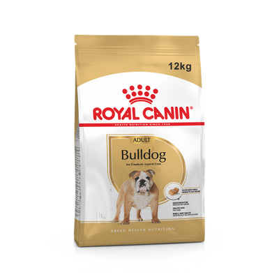 Bulldog Royal Canin Adulto