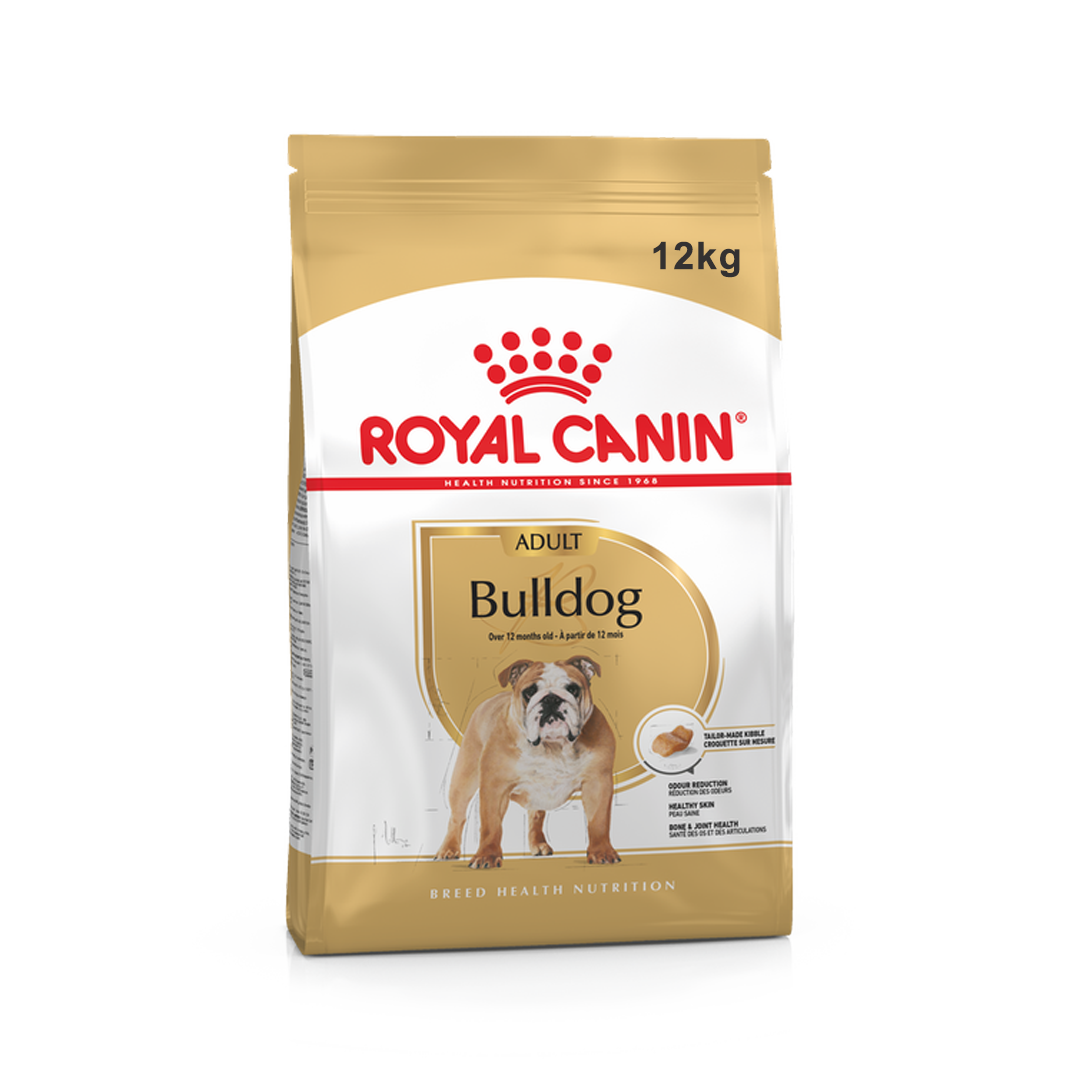 Bulldog Royal Canin Adulto