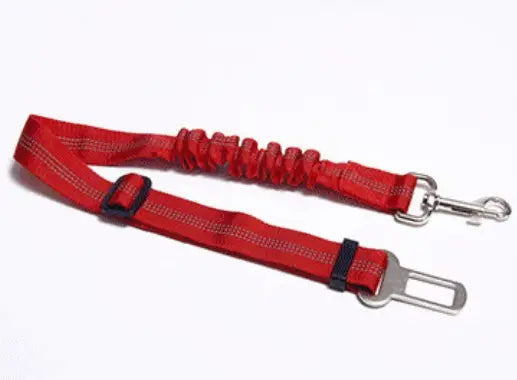 Cinturones de Seguridad para Perros y Gatos